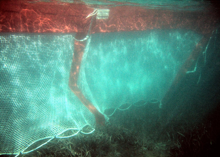 Filet de protection plage BEACH BOOM barrage antipollution